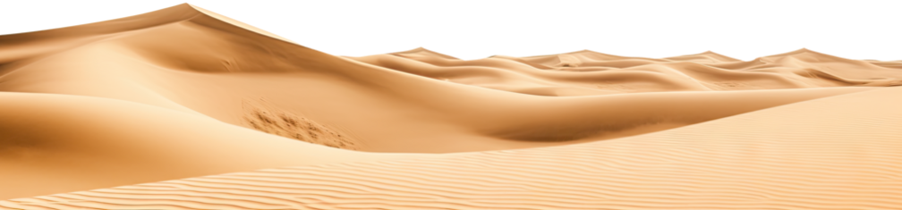 Dunes Image